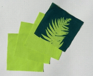 8" x 8" cyanotype cotton squares (lime)