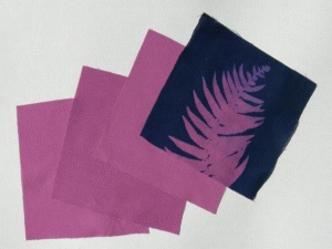 8" x 8" cyanotype cotton squares (violet)