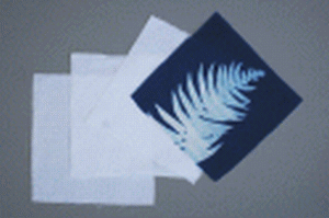 8" x 8" cyanotype cotton squares (white)