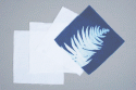 6" x 6" cyanotype cotton squares (white)