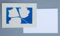 26" x 30" cyanotype paper sheets (white)