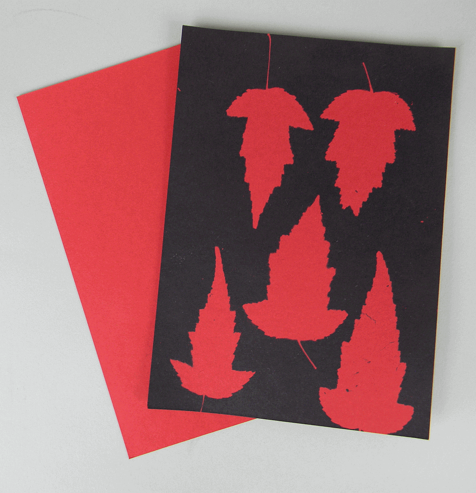 8" X 10" cyanotype paper (red)