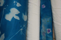 cyanotype silk by the yard  (45" wide, white)