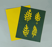8" X 10" cyanotype paper (yellow)