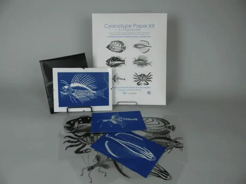 5" x 7" Transparency Designs - Image 4