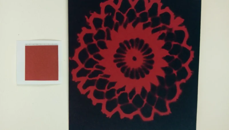 8" X 10" cyanotype paper (red) - Image 2