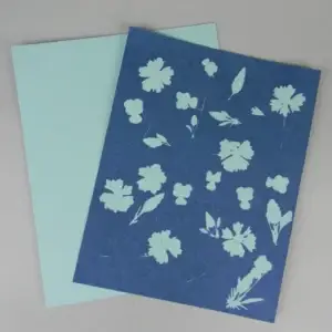8" X 10" cyanotype paper (blue)
