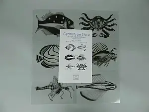 5" x 7" Transparency Designs