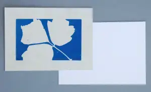 26" x 40" cyanotype paper sheets (white)