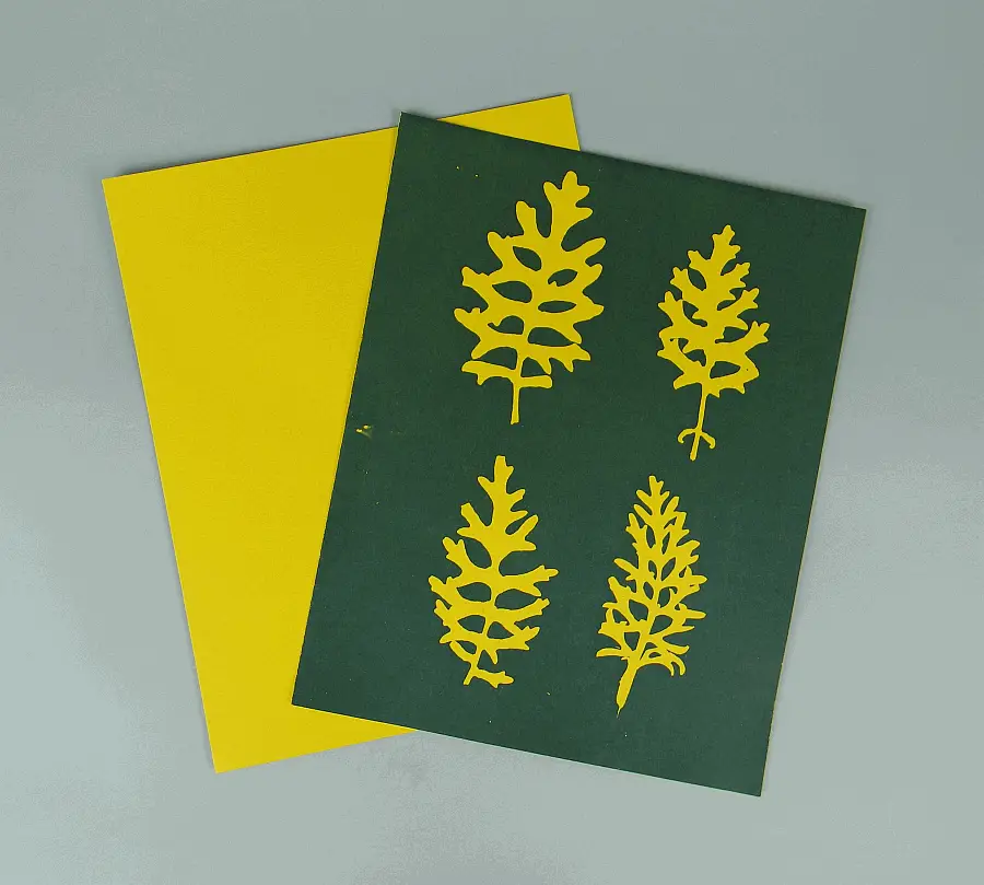 8" X 10" cyanotype paper (yellow)